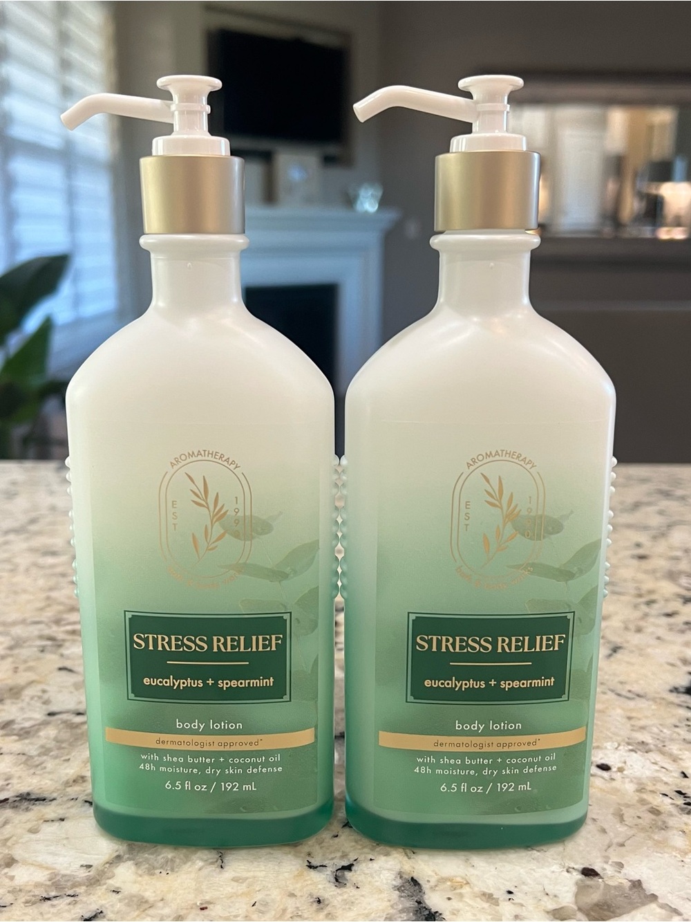 2 Bath & Body Works Eucalyptus + Spearmint Body Lotion Stress Relief Body Lotion